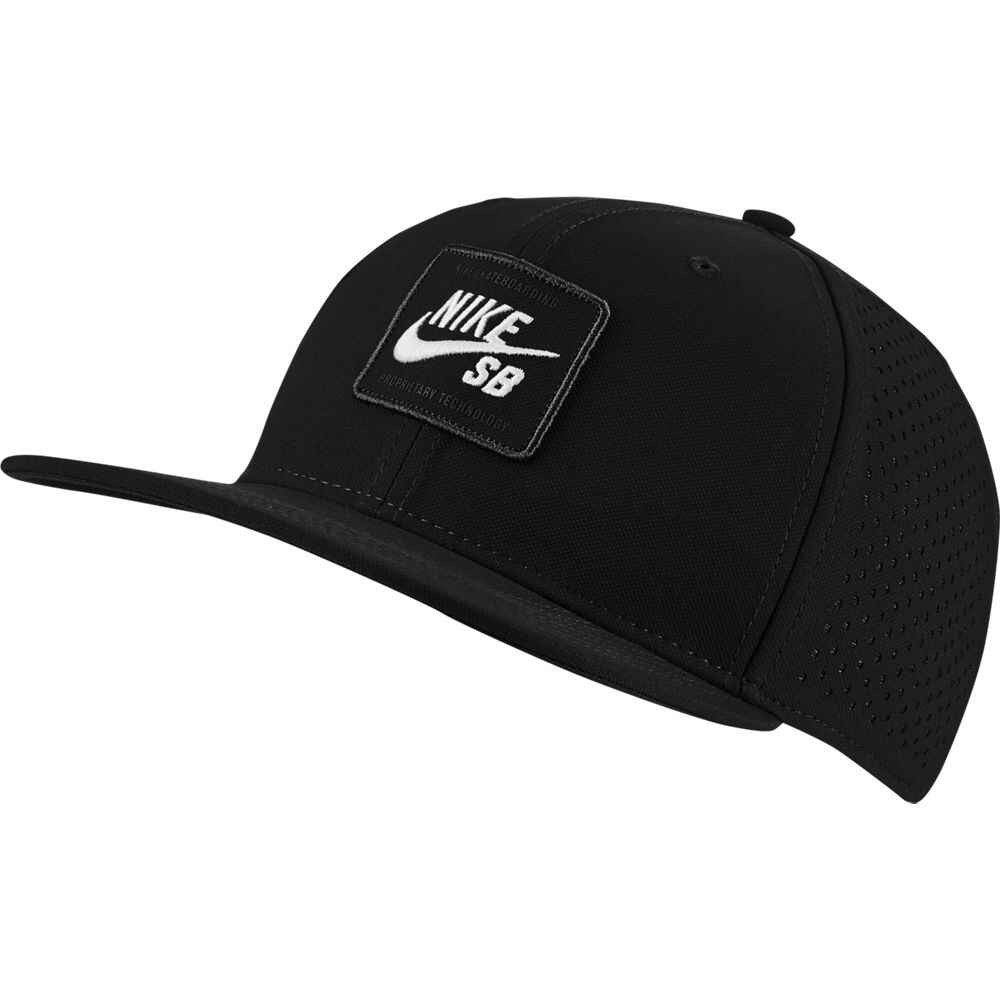 Nike hot sale skateboard cap