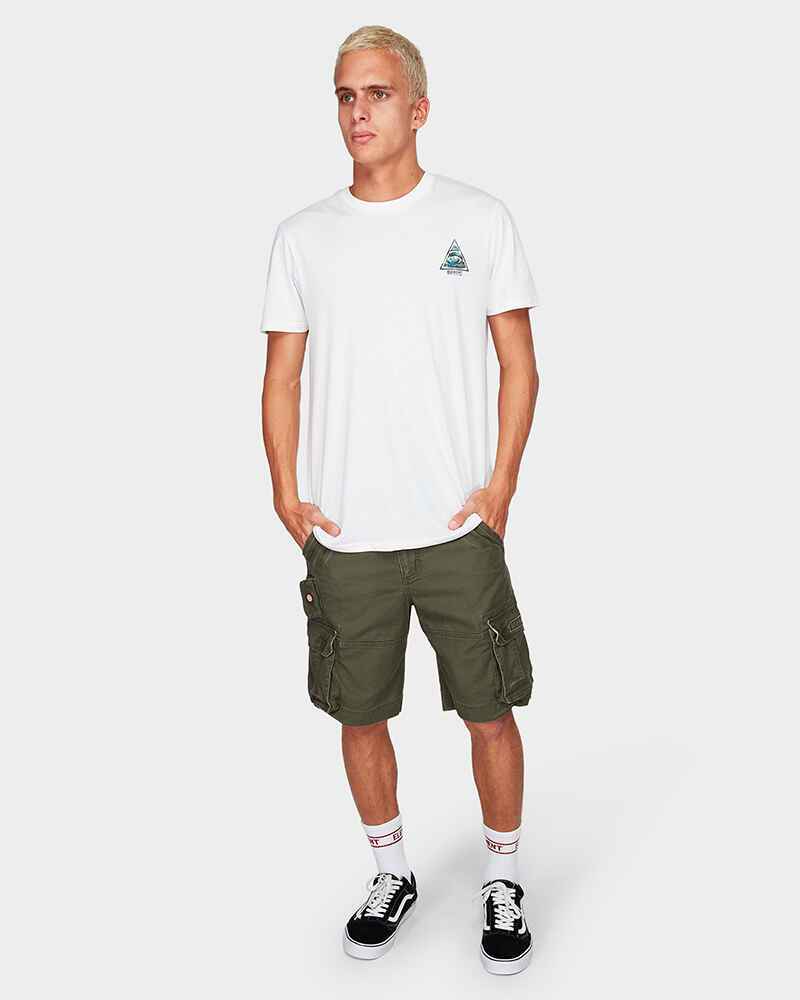 Element source hot sale cargo shorts