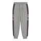 ILABB LADIES SPEED TRACKIE - GREY MARLE