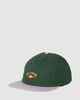 BILLABONG ARCH STRAPBACK CAP - FERN