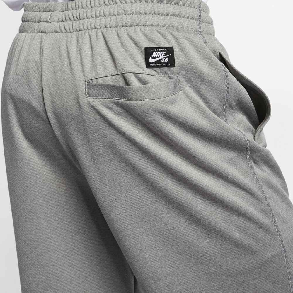 Nike sb dry hot sale sunday shorts