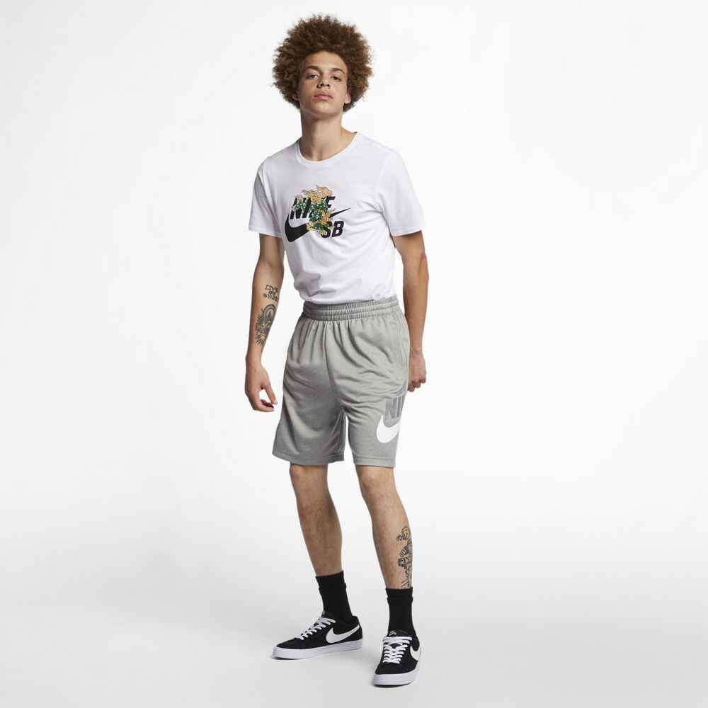 Nike sb shorts on sale mens