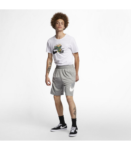 Nike sb clearance sunday shorts